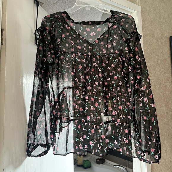 Zara z1975 Denim - Black and Pink Sheer Blouse with Glitter Pin Stripes - Picture 2 of 7